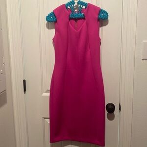 Fuchsia Dress